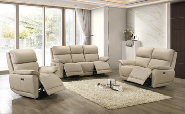 Reclining Sofa Set